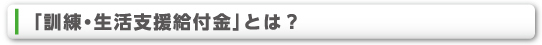 「訓練・生活支援給付金」とは？